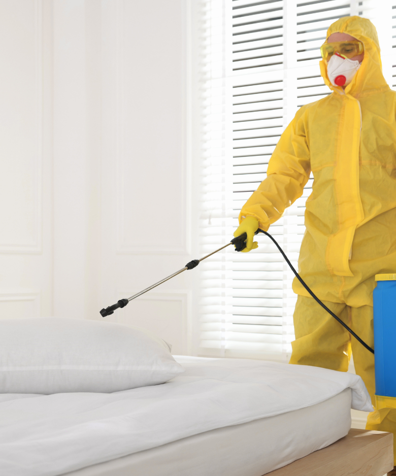 Professional Pest Control Team in Buchfelde